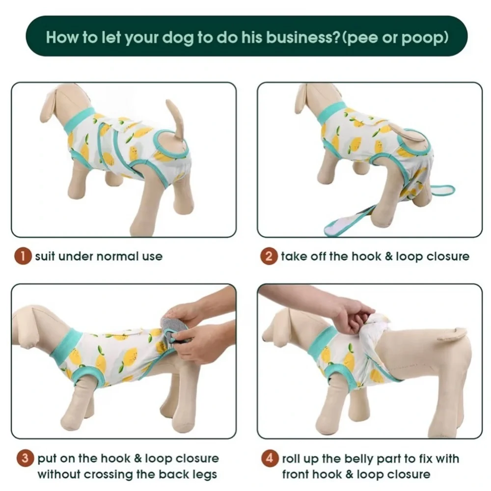 Dog Recovery suits- size Medium